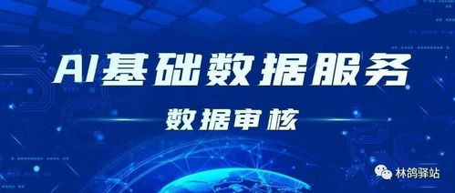 數(shù)據(jù)驅(qū)動AI未來 以采集、標(biāo)注與審核為核心的AI基礎(chǔ)數(shù)據(jù)服務(wù)行業(yè)